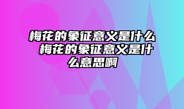 梅花的象征意义是什么 梅花的象征意义是什么意思啊