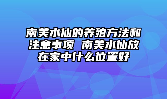 南美水仙的养殖方法和注意事项 南美水仙放在家中什么位置好