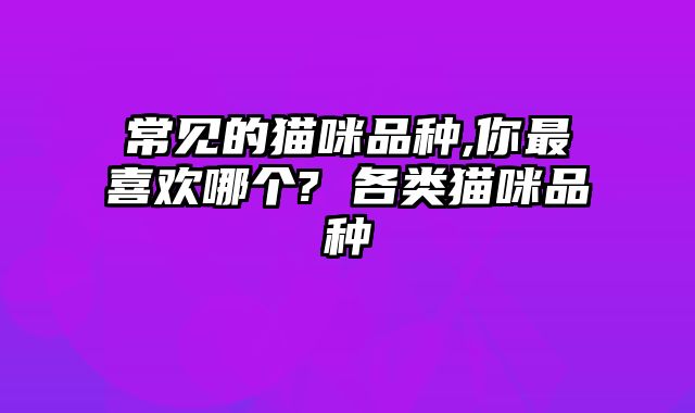 常见的猫咪品种,你最喜欢哪个? 各类猫咪品种