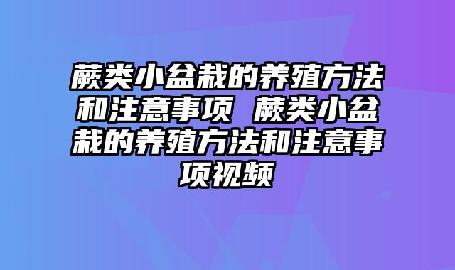 蕨类小盆栽的养殖方法和注意事项 蕨类小盆栽的养殖方法和注意事项视频