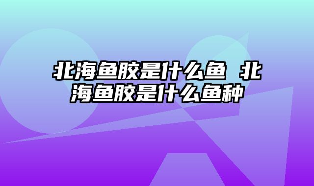 北海鱼胶是什么鱼 北海鱼胶是什么鱼种