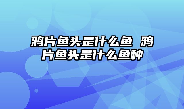 鸦片鱼头是什么鱼 鸦片鱼头是什么鱼种