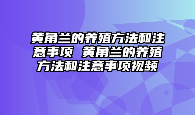 黄角兰的养殖方法和注意事项 黄角兰的养殖方法和注意事项视频