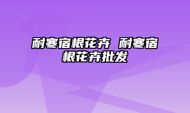 耐寒宿根花卉 耐寒宿根花卉批发