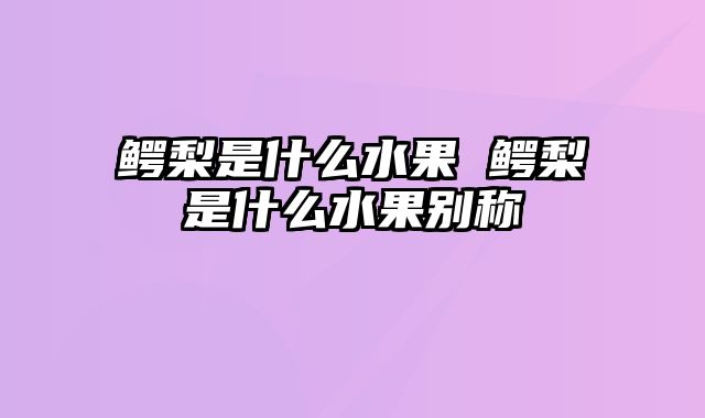 鳄梨是什么水果 鳄梨是什么水果别称