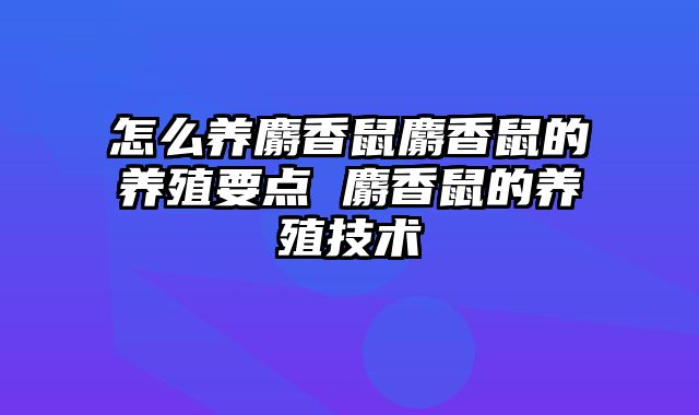 怎么养麝香鼠麝香鼠的养殖要点 麝香鼠的养殖技术