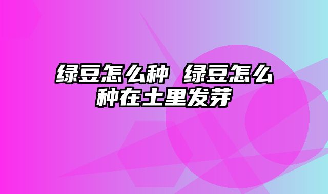 绿豆怎么种 绿豆怎么种在土里发芽