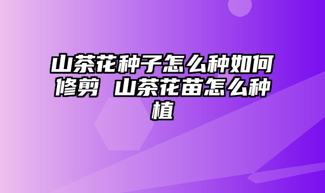 山茶花种子怎么种如何修剪 山茶花苗怎么种植