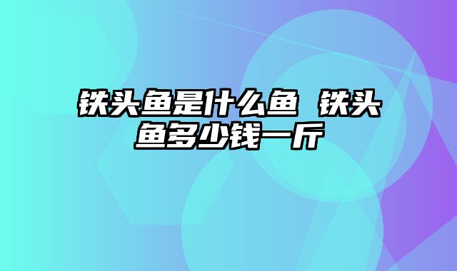 铁头鱼是什么鱼 铁头鱼多少钱一斤