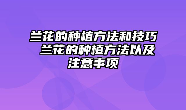 兰花的种植方法和技巧 兰花的种植方法以及注意事项