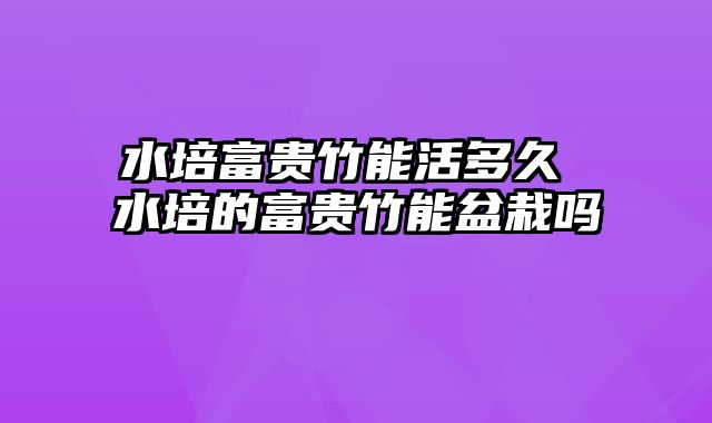 水培富贵竹能活多久 水培的富贵竹能盆栽吗