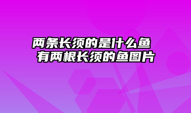 两条长须的是什么鱼 有两根长须的鱼图片