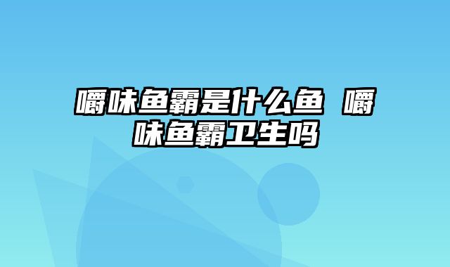 嚼味鱼霸是什么鱼 嚼味鱼霸卫生吗