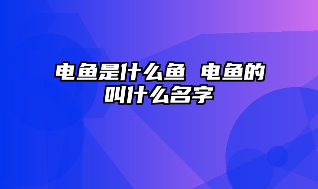 电鱼是什么鱼 电鱼的叫什么名字