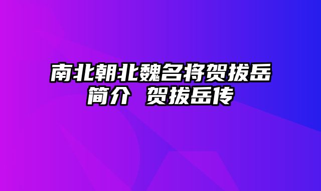 南北朝北魏名将贺拔岳简介 贺拔岳传