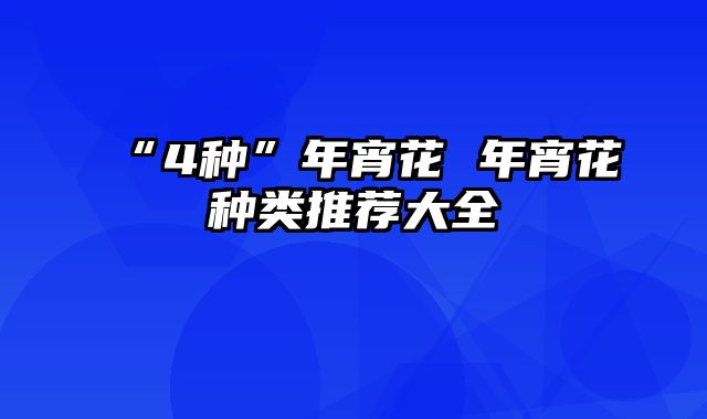 “4种”年宵花 年宵花种类推荐大全