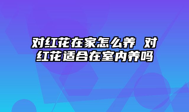 对红花在家怎么养 对红花适合在室内养吗