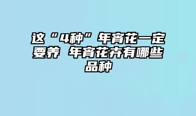 这“4种”年宵花一定要养 年宵花卉有哪些品种