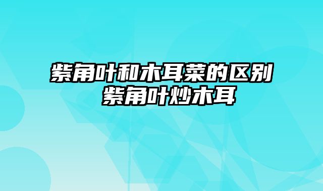 紫角叶和木耳菜的区别 紫角叶炒木耳