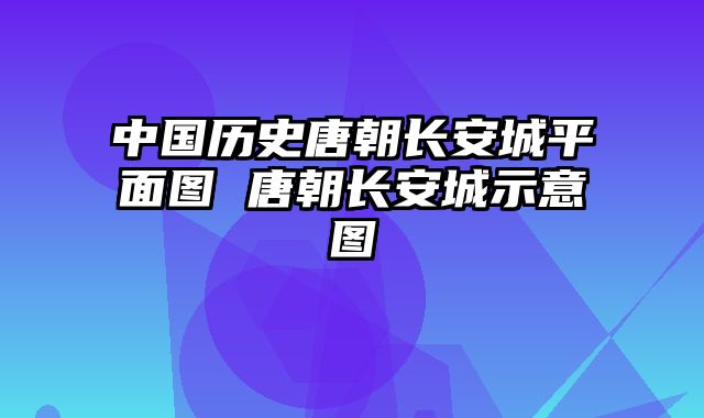 中国历史唐朝长安城平面图 唐朝长安城示意图