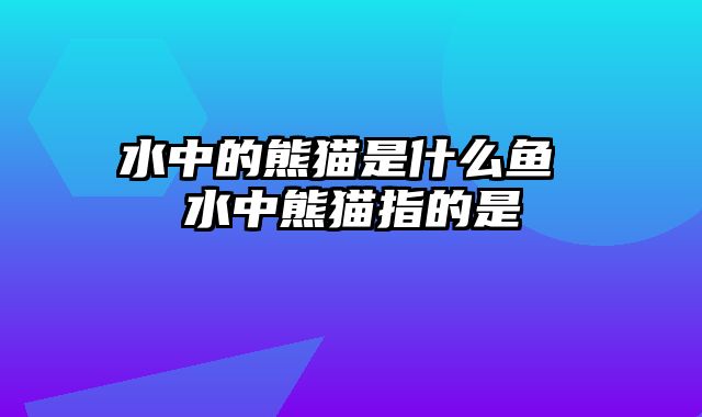 水中的熊猫是什么鱼 水中熊猫指的是