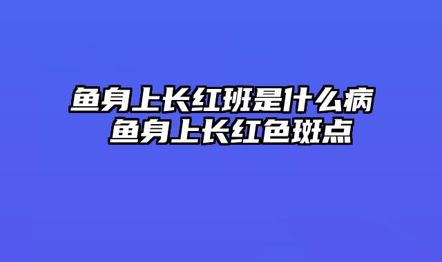 鱼身上长红班是什么病 鱼身上长红色斑点