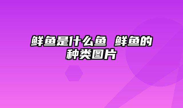 鲜鱼是什么鱼 鲜鱼的种类图片