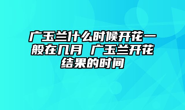 广玉兰什么时候开花一般在几月 广玉兰开花结果的时间