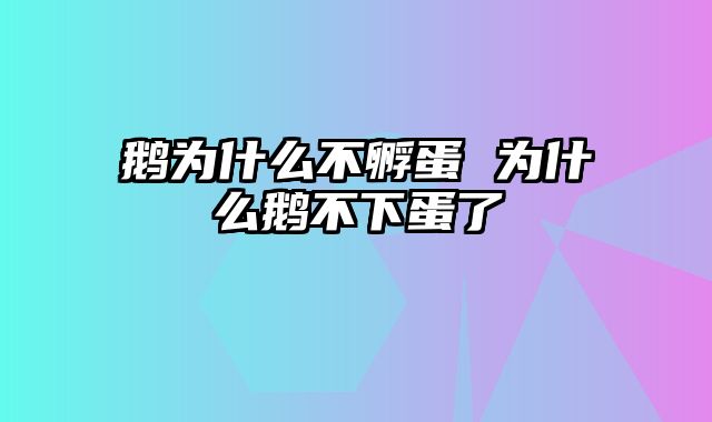 鹅为什么不孵蛋 为什么鹅不下蛋了