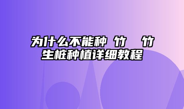 为什么不能种簕竹 簕竹生桩种植详细教程