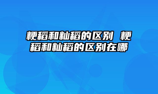 粳稻和籼稻的区别 粳稻和籼稻的区别在哪