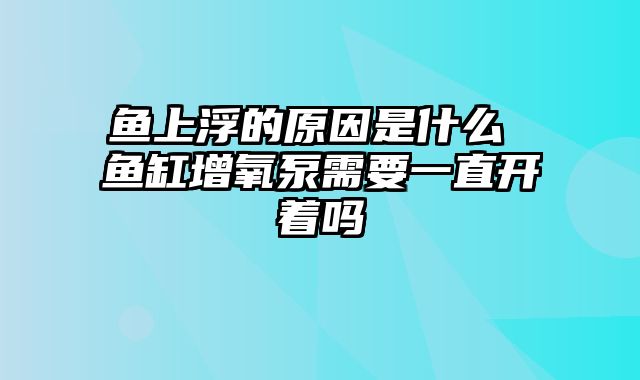 鱼上浮的原因是什么 鱼缸增氧泵需要一直开着吗