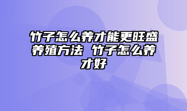 竹子怎么养才能更旺盛养殖方法 竹子怎么养才好