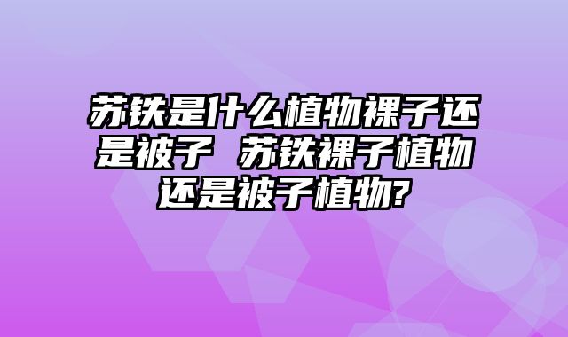 苏铁是什么植物裸子还是被子 苏铁裸子植物还是被子植物?