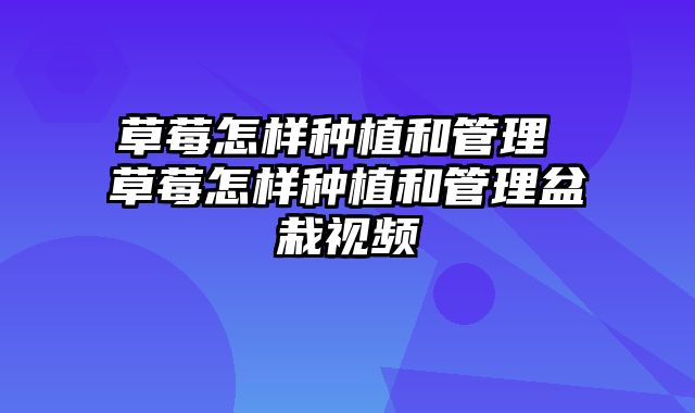 草莓怎样种植和管理 草莓怎样种植和管理盆栽视频