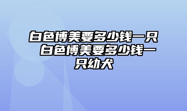 白色博美要多少钱一只 白色博美要多少钱一只幼犬