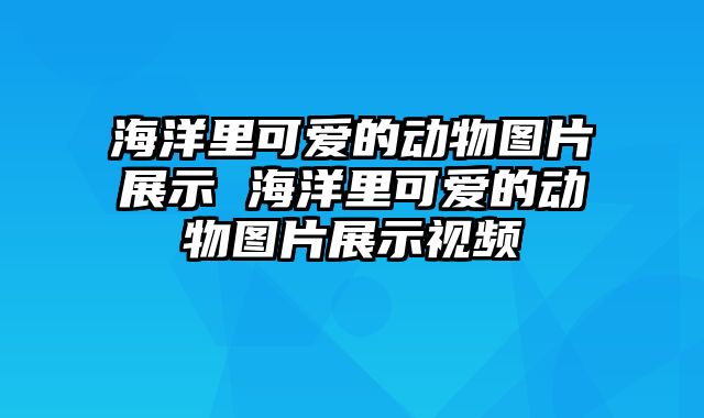 海洋里可爱的动物图片展示 海洋里可爱的动物图片展示视频