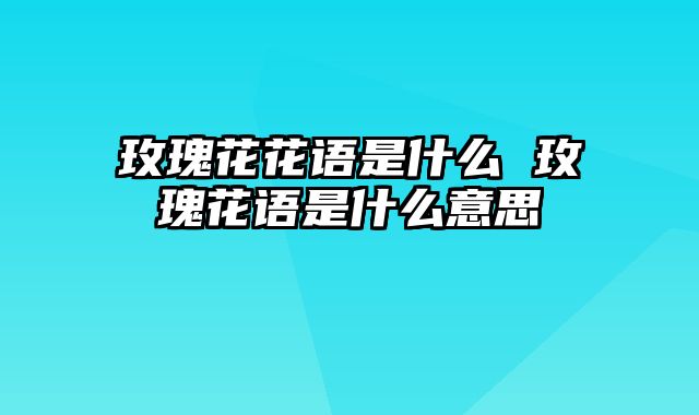 玫瑰花花语是什么 玫瑰花语是什么意思