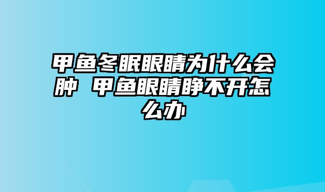 甲鱼冬眠眼睛为什么会肿 甲鱼眼睛睁不开怎么办