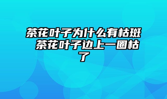 茶花叶子为什么有枯斑 茶花叶子边上一圈枯了