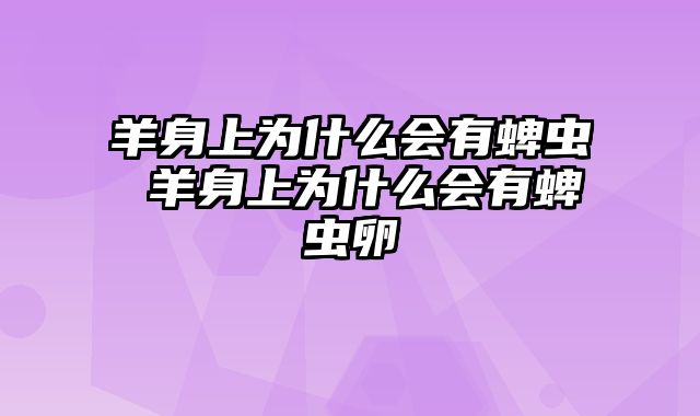 羊身上为什么会有蜱虫 羊身上为什么会有蜱虫卵