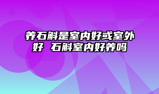 养石斛是室内好或室外好 石斛室内好养吗