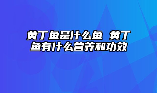 黄丁鱼是什么鱼 黄丁鱼有什么营养和功效