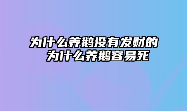 为什么养鹅没有发财的 为什么养鹅容易死