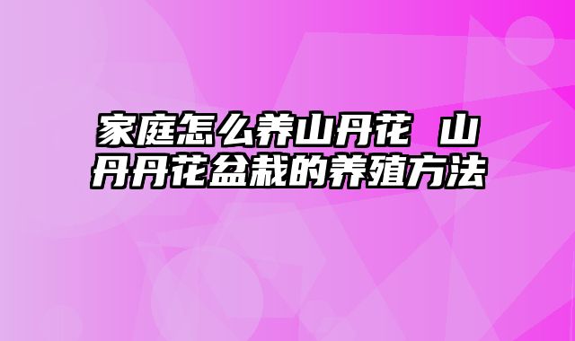 家庭怎么养山丹花 山丹丹花盆栽的养殖方法