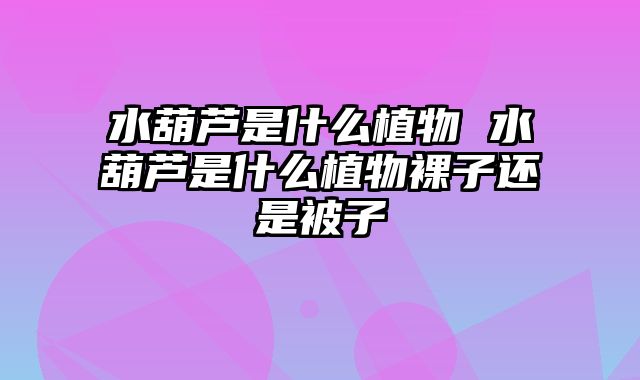 水葫芦是什么植物 水葫芦是什么植物裸子还是被子