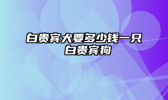 白贵宾犬要多少钱一只 白贵宾狗