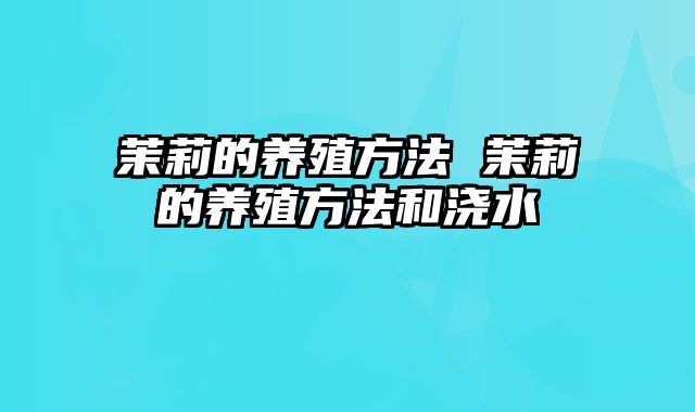 茉莉的养殖方法 茉莉的养殖方法和浇水