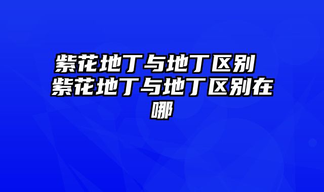 紫花地丁与地丁区别 紫花地丁与地丁区别在哪