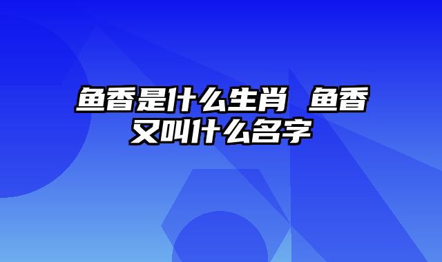 鱼香是什么生肖 鱼香又叫什么名字